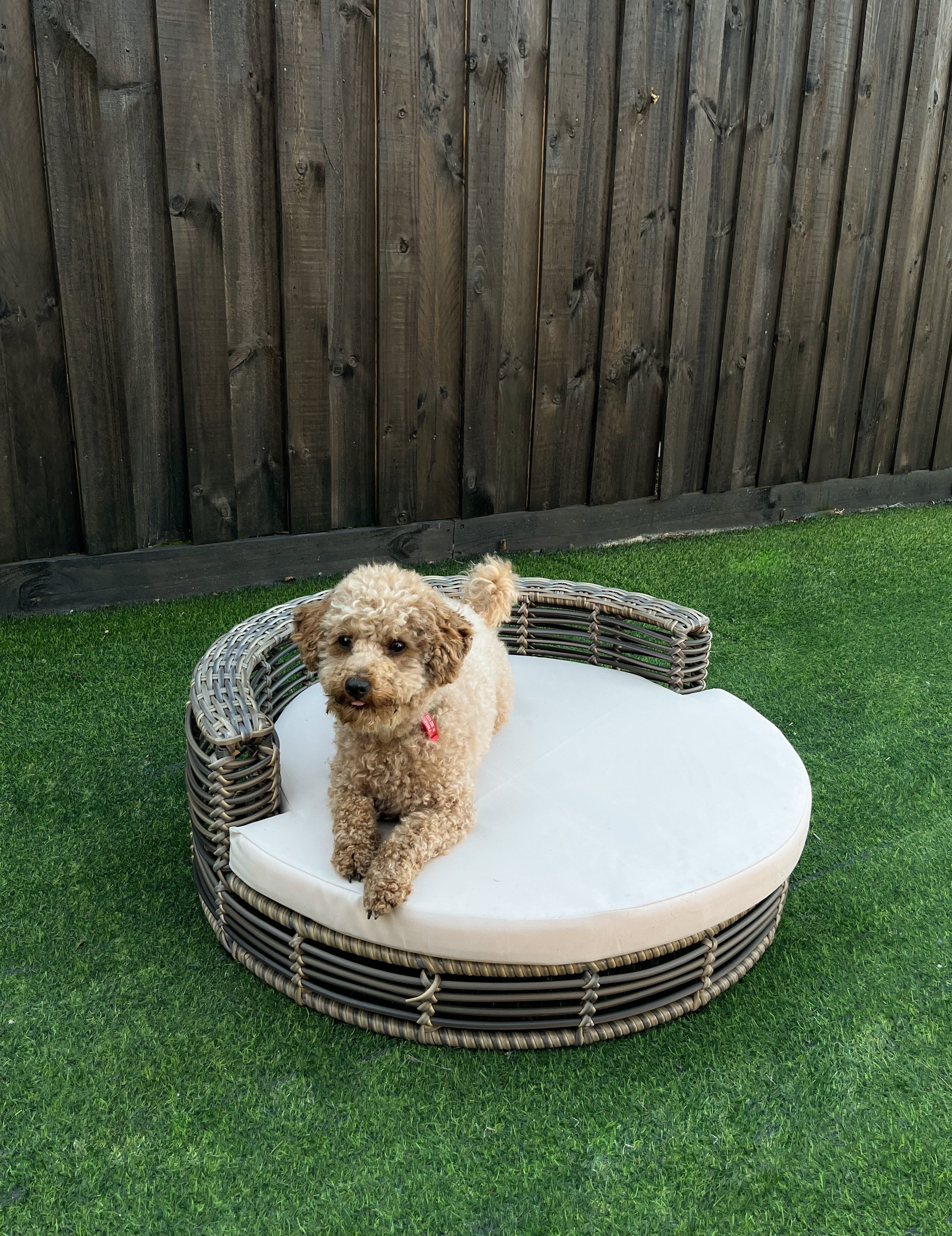 Poly Rattan Wicker Pet Beds Swing Chairs Direct Factory