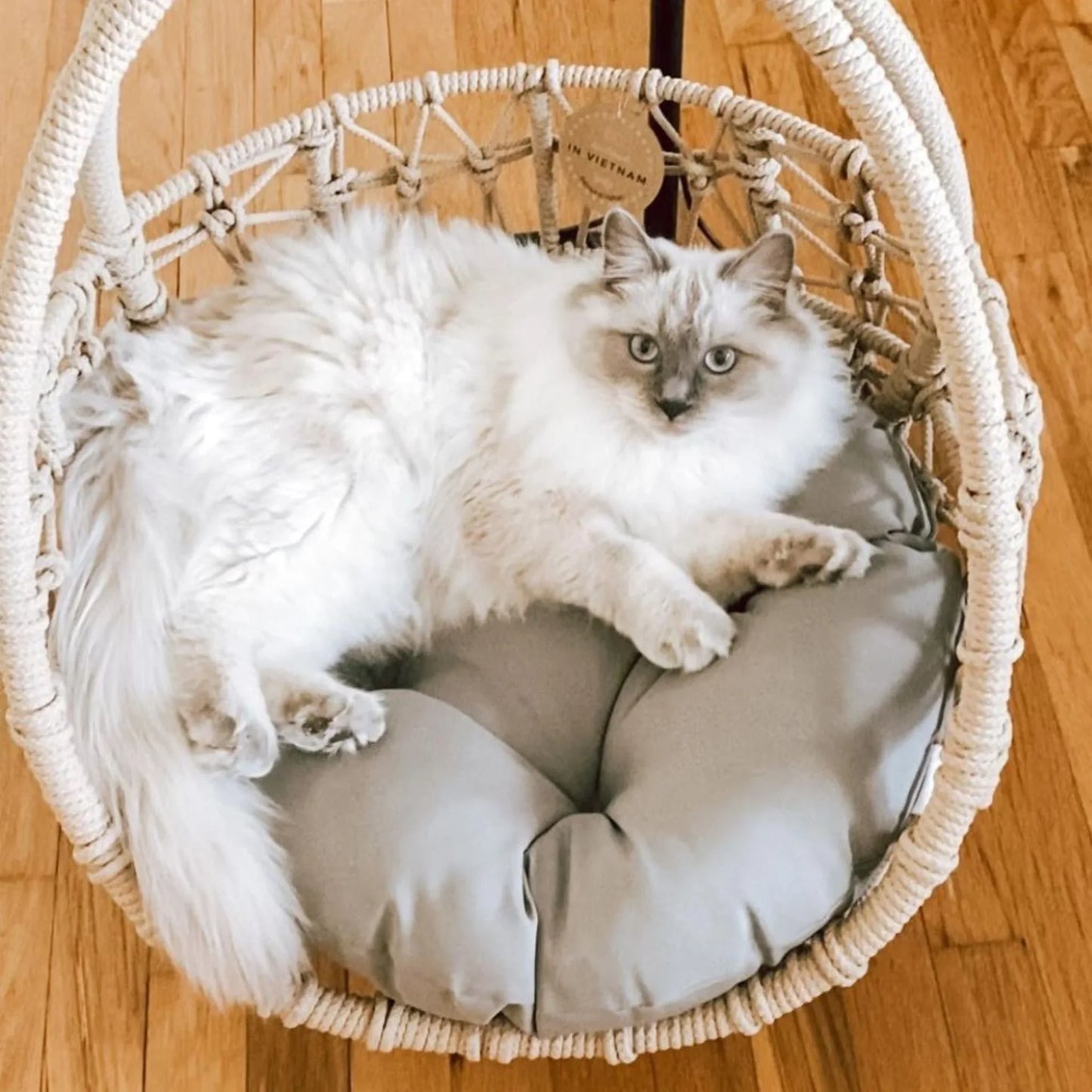 ESMEE Pet Swing Basket Bed Egg Chair for Small Cat & Dog- Brown - Direct Factory Furniture Australia