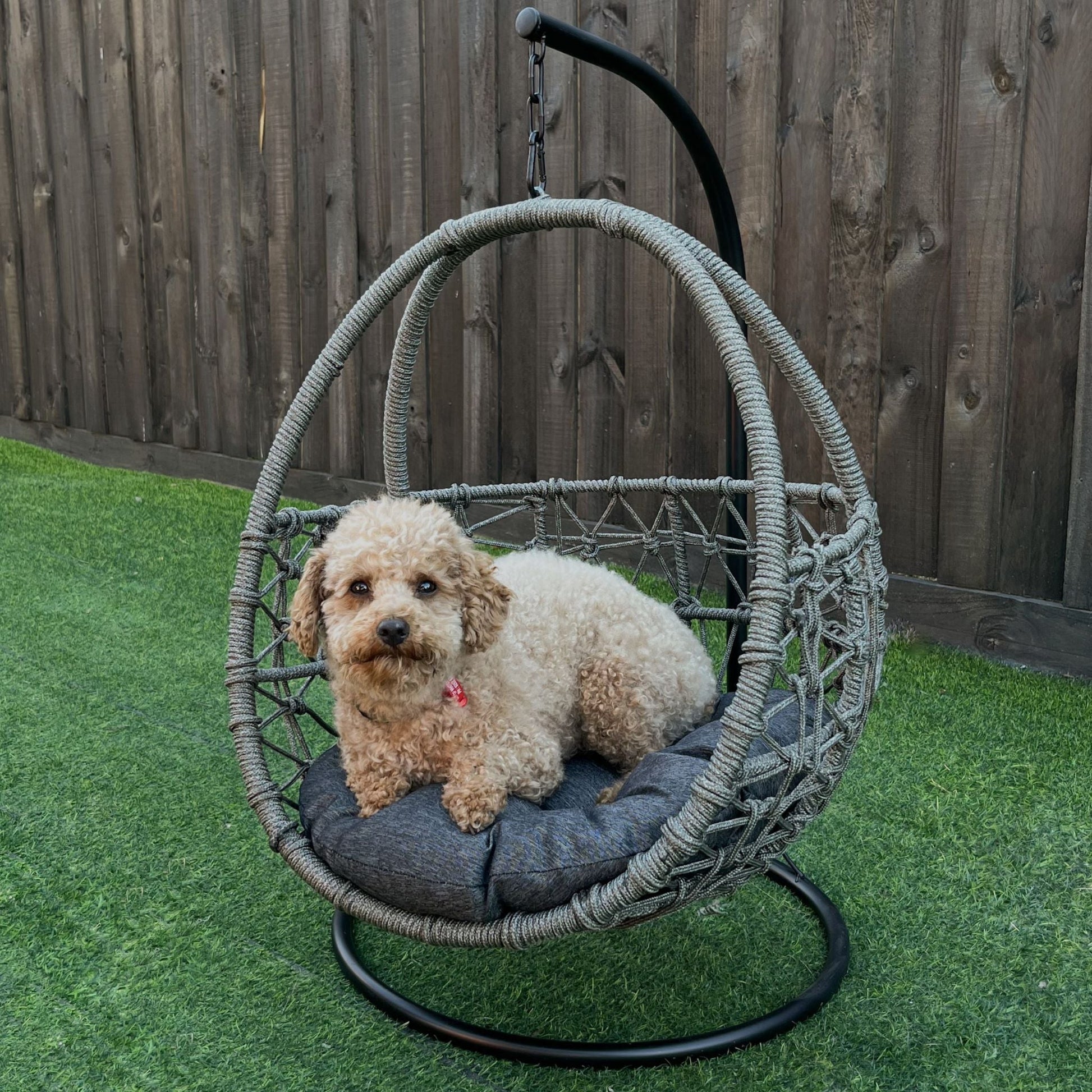 ESMEE Pet Swing Basket Bed Egg Chair for Small Cat & Dog- Grey - Direct Factory Furniture Australia