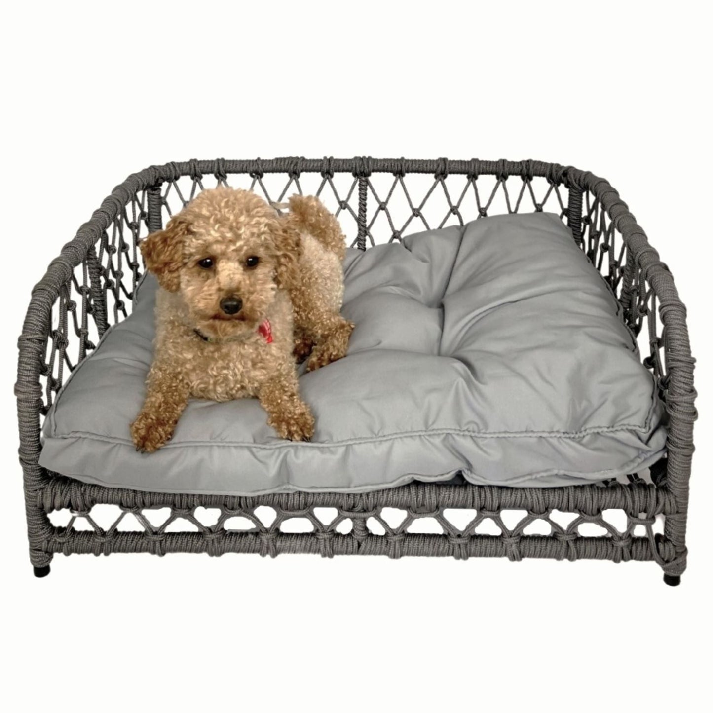 JACOB Pet Basket Bed for Small Cat & Dog- Grey - Direct Factory Furniture Australia