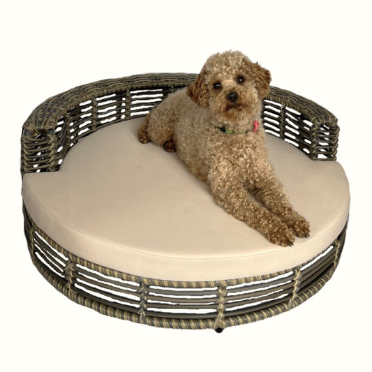 JOEY Pet Basket Bed for Small Cat & Dog- Brown - Direct Factory Furniture Australia