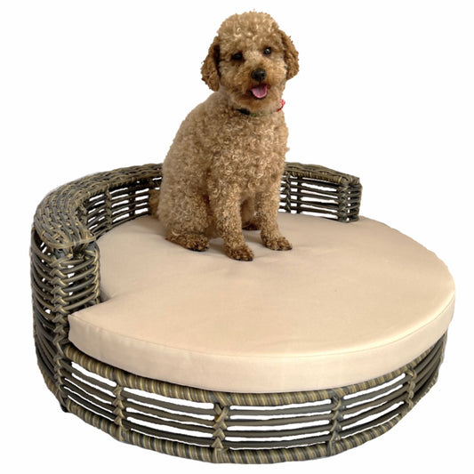 JOEY Pet Basket Bed for Small Cat & Dog- Brown - Direct Factory Furniture Australia