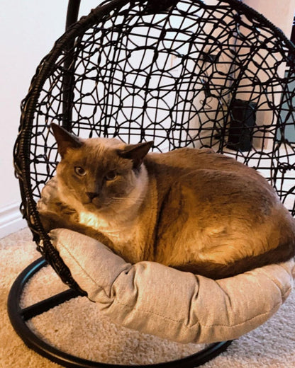 ZEEMAN Pet Swing Basket Bed Egg Chair for Small Cat & Dog- Black - Direct Factory Furniture Australia