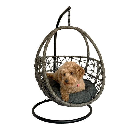 ESMEE Pet Swing Basket Bed Egg Chair for Small Cat & Dog- Grey - Direct Factory Furniture Australia