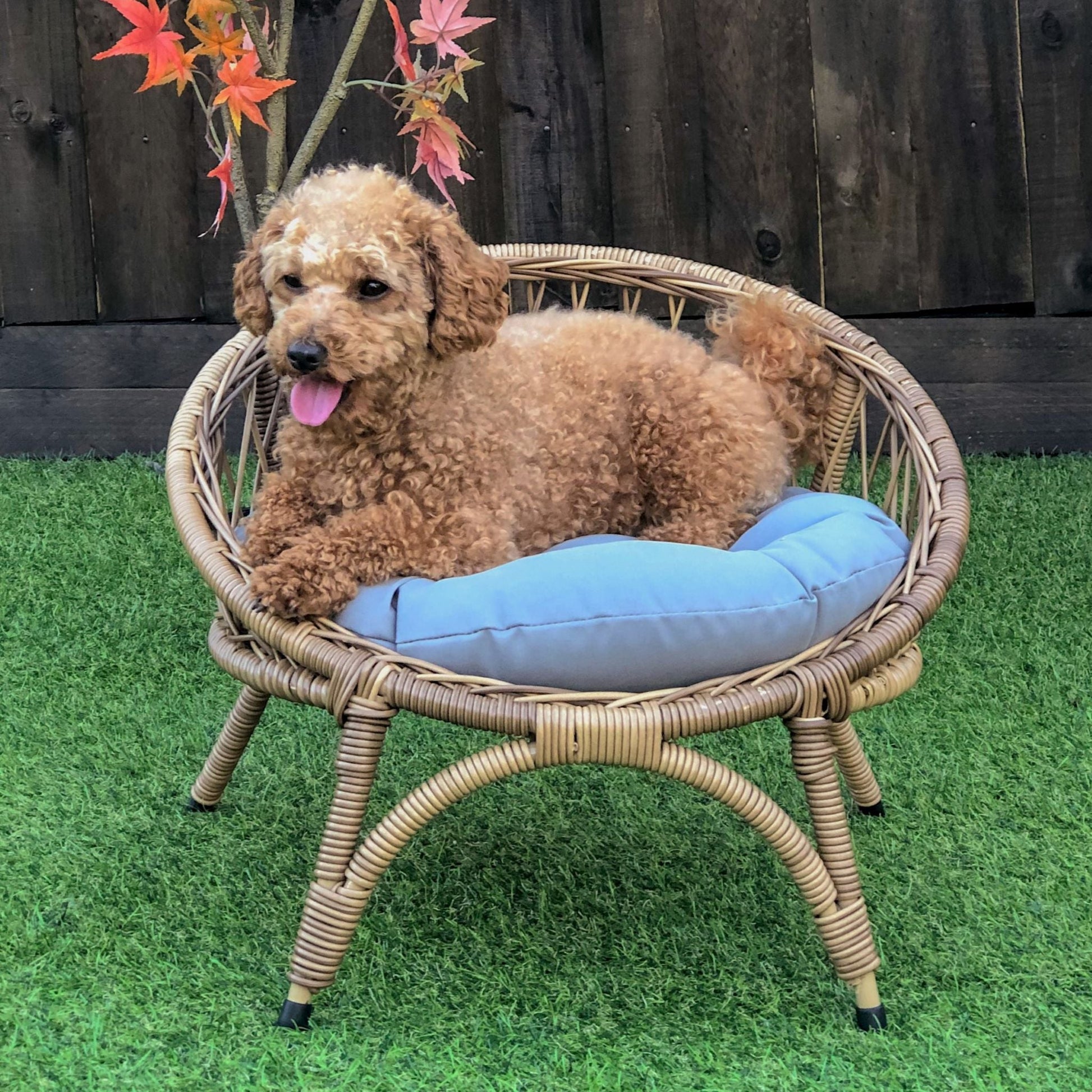 FEDDE Pet Basket Bed for Small Cat & Dog- Brown - Direct Factory Furniture Australia