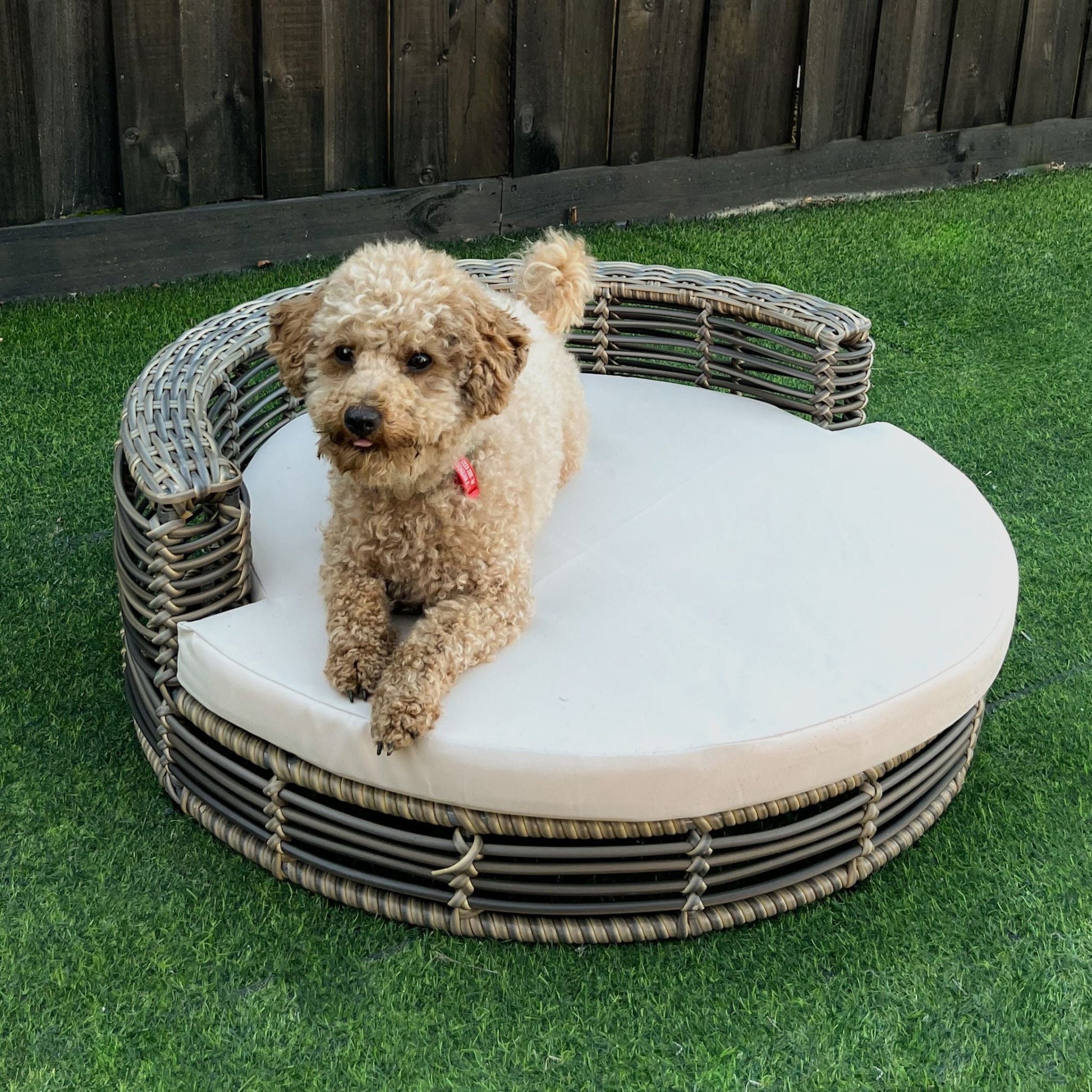 JOEY Pet Basket Bed for Small Cat & Dog- Brown - Direct Factory Furniture Australia